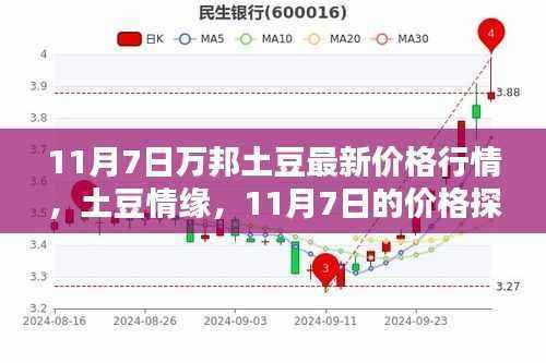 11月7日万邦土豆行情揭秘,价格探秘与家的温馨时光
