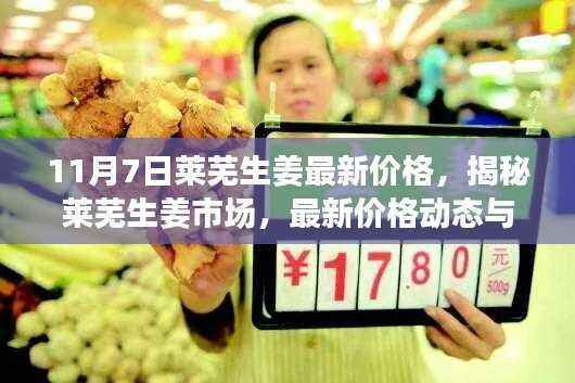 揭秘莱芜生姜市场,最新价格动态与行业趋势分析(11月7日)