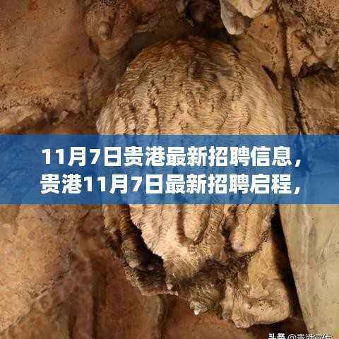 贵港最新招聘信息启程,与自然共舞,探寻内心宁静之旅(11月7日)