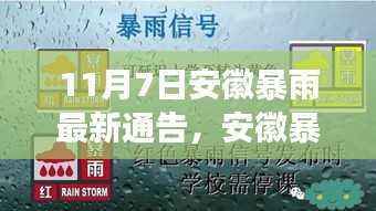 安徽暴雨下的温情日常,友情与陪伴的故事(实时更新)