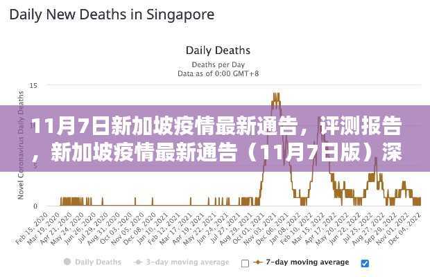 新加坡疫情最新通告(深度解析版)评测报告出炉,疫情动态与应对策略分析