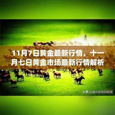 11月7日黄金行情解析,洞悉市场最新动态,黄金投资新动向揭秘!