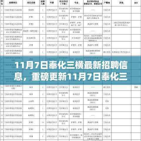11月7日奉化三横最新招聘信息大揭秘,优质岗位等你来挑战!