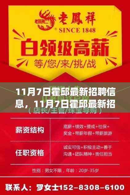 11月7日霍邱最新招聘信息及职场观察与个人立场分析