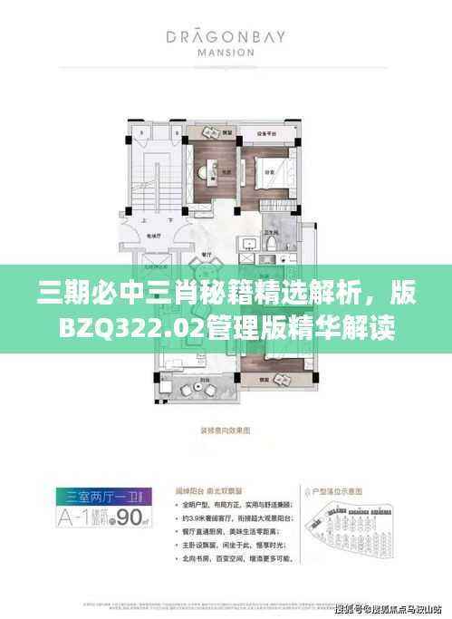 三期必中三肖秘籍精选解析,版BZQ322.02管理版精华解读