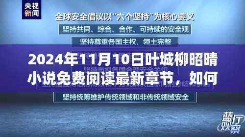 叶城柳昭晴小说免费阅读最新章节,获取与阅读详细步骤指南
