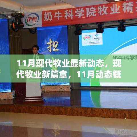 11月现代牧业动态概览，开启新篇章，展望前景发展