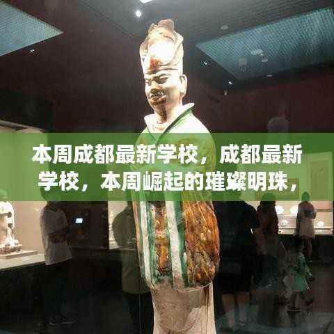 成都本周崭露头角的新学校,引领教育新篇章,璀璨明珠闪耀登场