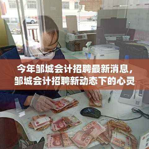 邹城会计招聘最新动态,与自然美景相伴的心灵之旅招募启事