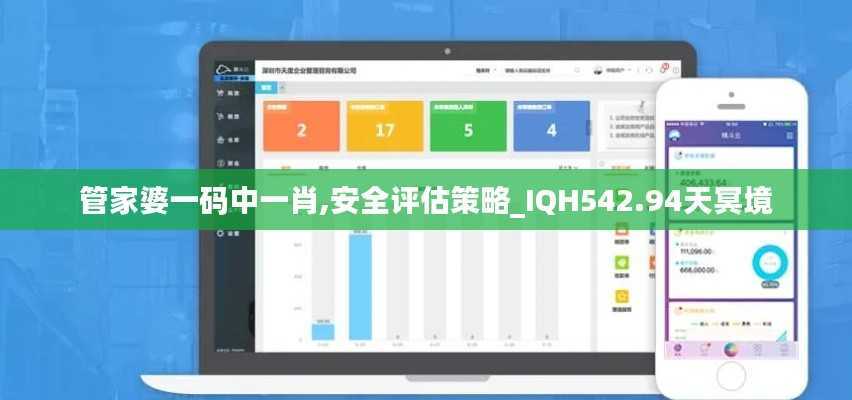 管家婆一码中一肖,安全评估策略_IQH542.94天冥境