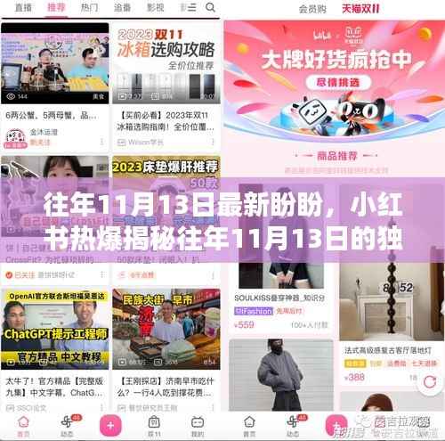 小红书揭秘，往年11月13日的独特盼盼与美好时刻再现！