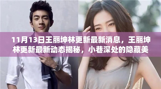 王丽坤林更新最新动态揭秘,美食天堂与小巷深处的秘密故事!