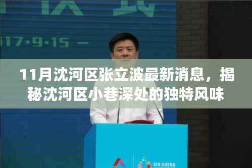 揭秘沈河区张立波最新动态,十一月小巷深处的独特风味探索之旅