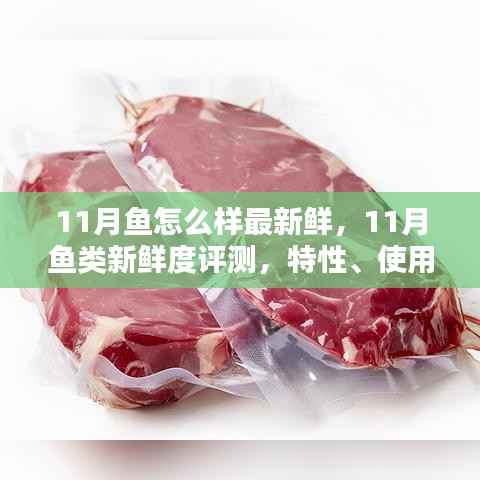 11月鱼类新鲜度大解密,特性、体验与竞品对比,最新鲜的鱼类选择指南
