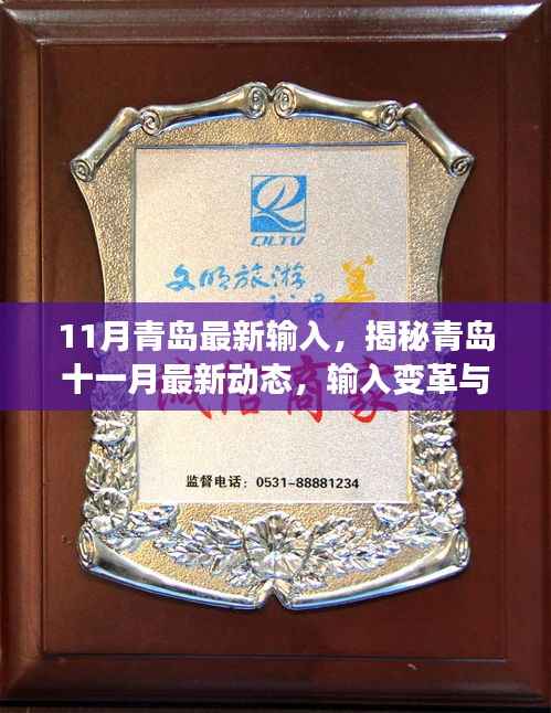 揭秘青岛十一月最新动态,输入变革与多元发展展露新姿