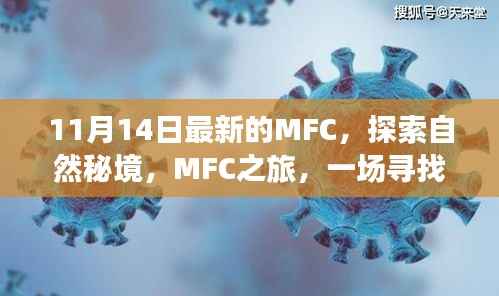MFC之旅,探索自然秘境,寻找内心平静的奇妙旅程
