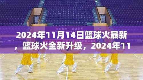 篮球火全新升级深度评测与介绍,2024年11月14日最新资讯