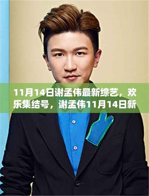 谢孟伟新综艺欢乐集结号,温馨日常的启程(11月14日最新更新)