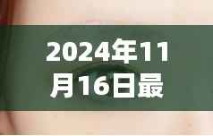 时尚潮流新宠,最新流行雾眉亮相于2024年秋冬季节