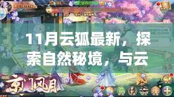 云狐秘境探索,与自然共舞,寻找内心平静的十一月奇妙之旅