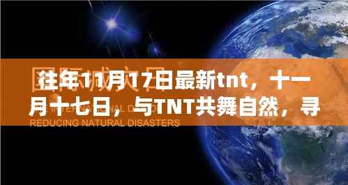 十一月十七日TNT之旅,与自然共舞,探寻宁静港湾的奥秘