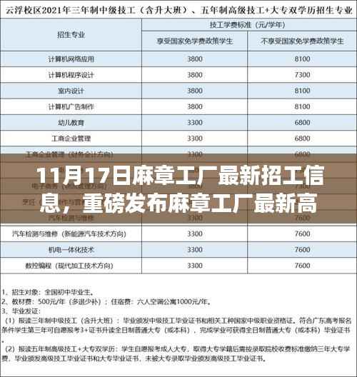 麻章工厂最新高科技招工信息重磅发布,科技引领未来工厂新纪元!