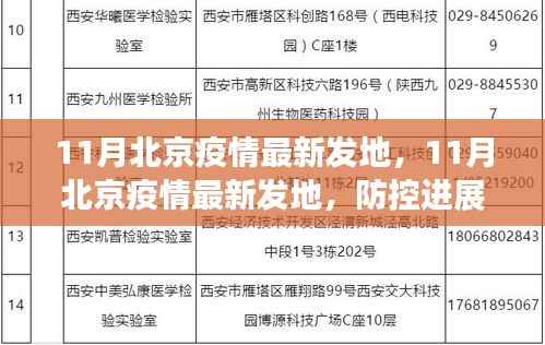 北京疫情最新动态,防控进展、数据解读与案例分析(11月版)
