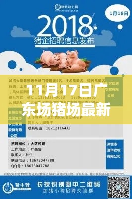 广东猪场最新招聘应聘全攻略,初学者与进阶用户通用指南(11月17日)