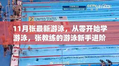 张教练游泳新手进阶指南,从零基础到进阶游泳技巧全解析(11月最新版)