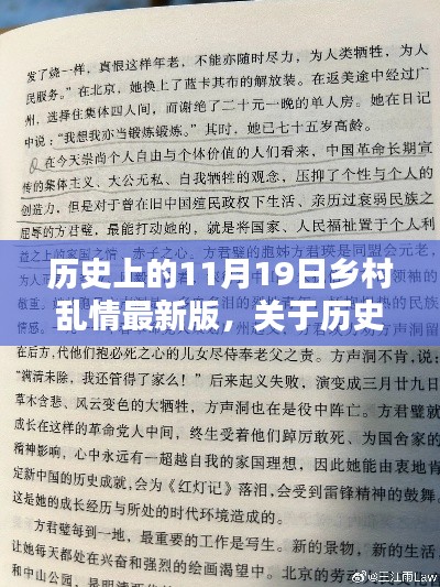 历史上的11月19日乡村乱情最新版,反思与观点阐述