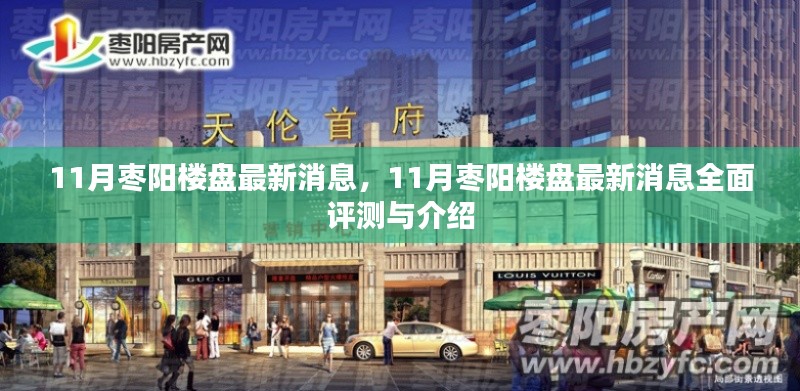 11月枣阳楼盘最新动态,全面评测与详细介绍
