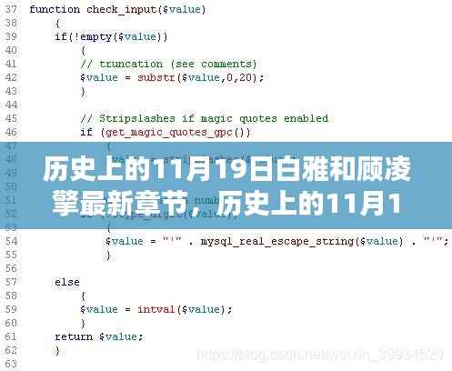 历史上的11月19日,白雅与顾凌擎最新章节的辉煌历程及深远影响