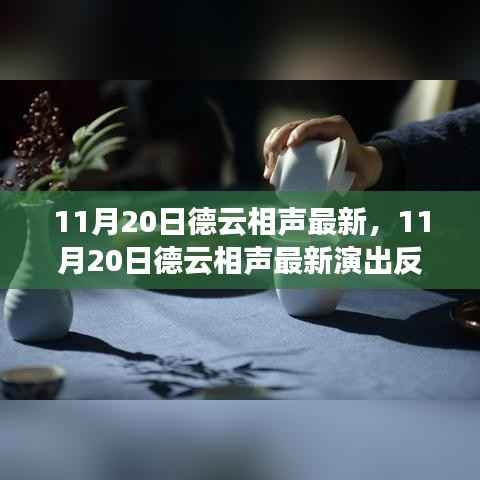 11月20日德云相声最新演出,传统与现代的完美融合之旅引爆观众反响!