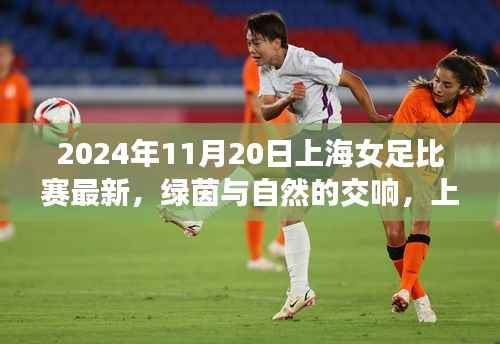 上海女足比赛背后的心灵之旅,绿茵与自然的交响,最新消息来自2024年11月20日上海女足比赛现场