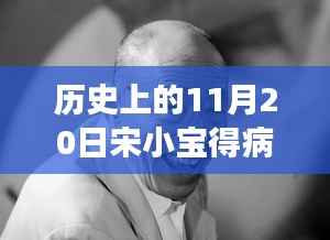 宋小宝健康状况深度解析与竞品对比,历史上的这一天最新消息回顾