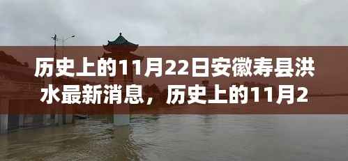 历史上的11月22日安徽寿县洪水灾害实录,最新消息与灾害回顾