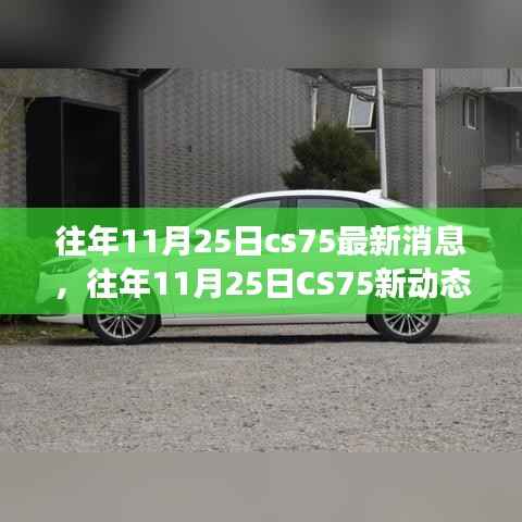 往年11月25日CS75最新动态,学习之旅的变化与自信成就之源