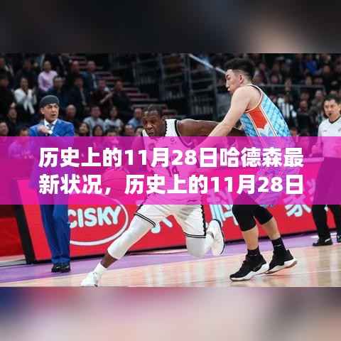 多维解析,哈德森在历史上的11月28日的发展现状与现状探讨