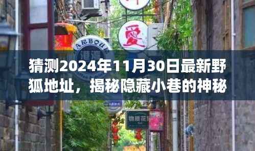 揭秘隐藏小巷的神秘野狐小店,味觉冒险之旅的野狐之约猜想(最新预测地址)