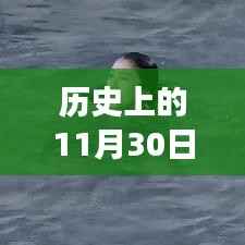河边草视频网站的励志故事,点燃学习变革的火花历程回顾与今日发展