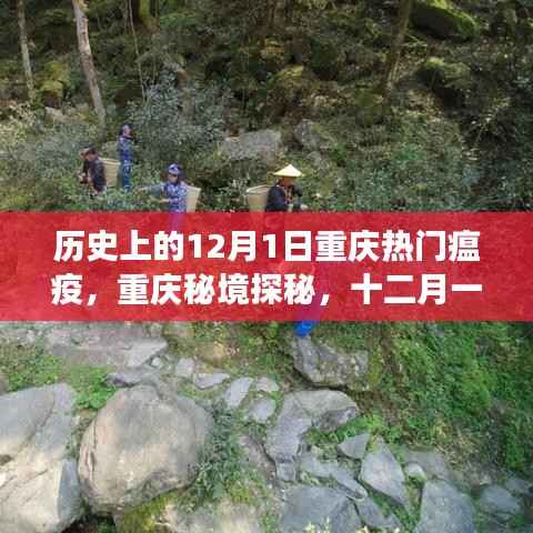 揭秘重庆瘟疫背后的故事,秘境探秘与小巷独特风味的历史探寻(十二月一日篇)