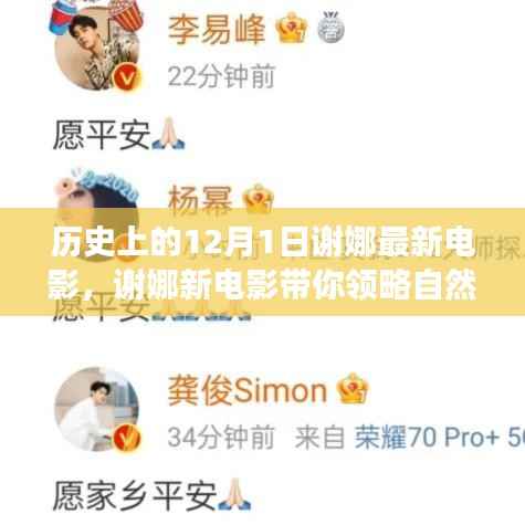 谢娜新电影,探寻自然美景与内心平静的旅程——12月1日上映