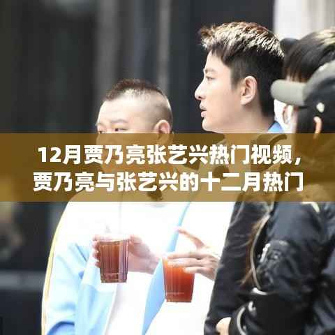 贾乃亮与张艺兴十二月热门视频背后的现象与观点探讨