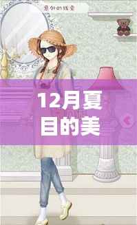 夏目的美丽日记最新评测与深度体验,全面分析与下载指南(12月版)