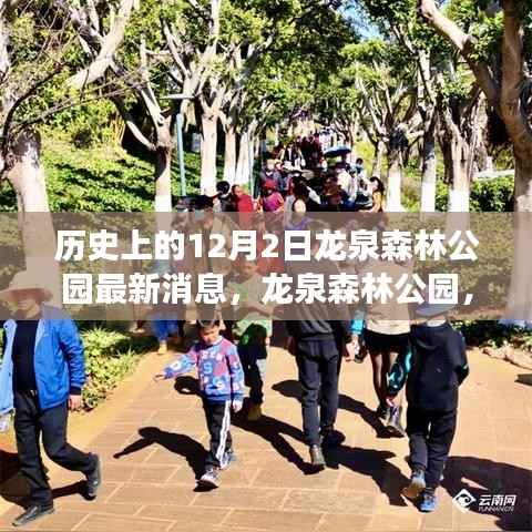 龙泉森林公园,探寻自然美景与内心宁静的和谐之旅(最新消息报道)