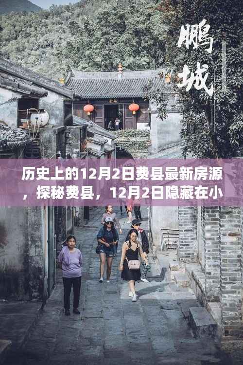 探秘费县,揭秘12月2日小巷深处的最新房源与特色小店