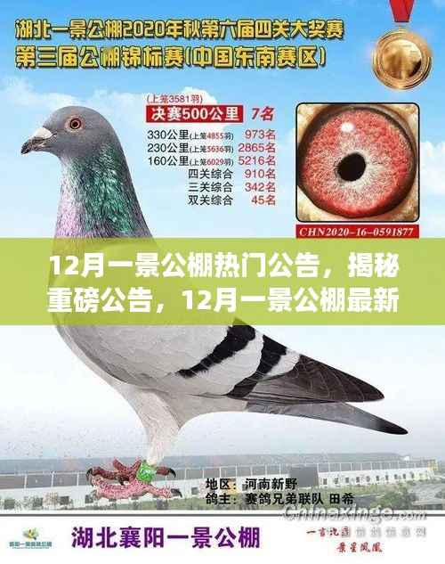 废寝忘食 第10页