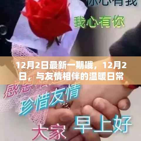 友情相伴的温暖日常,12月2日的温馨记录
