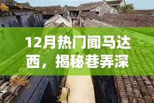 闻马达西小店探秘之旅,巷弄深处的独特风味揭秘