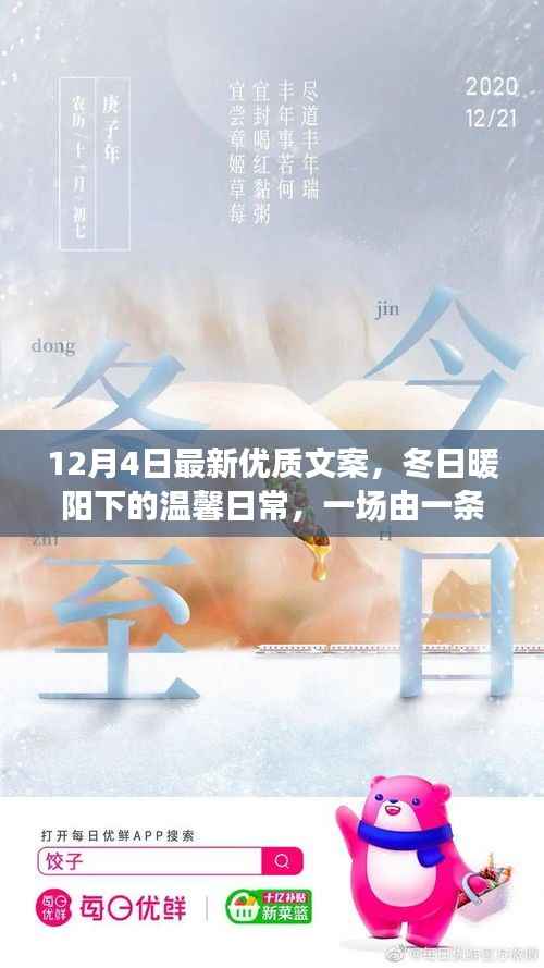 冬日暖阳下的文案奇缘,温馨日常的美丽邂逅